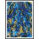 Abstract Paint - 31, A New Print Of An Abstract Painting.