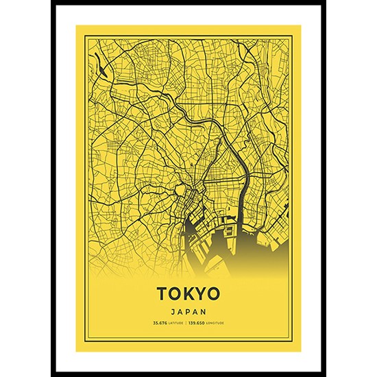 Tokyo City Map, Japan