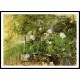 A Corner of the Rose Garden, A New Print of a painting by Berthe Morisot