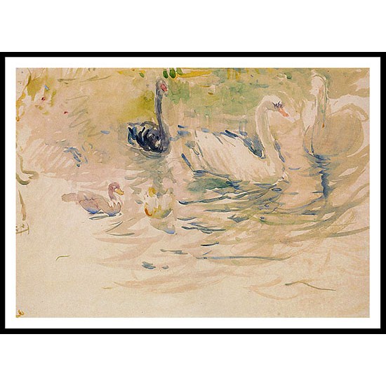 Swans, A New Print of a painting by Berthe Morisot