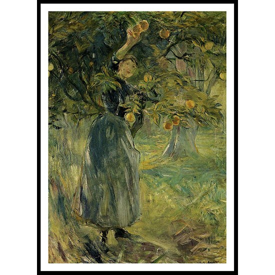 The Orange Picker -2 , A New Print of a painting by Berthe Morisot