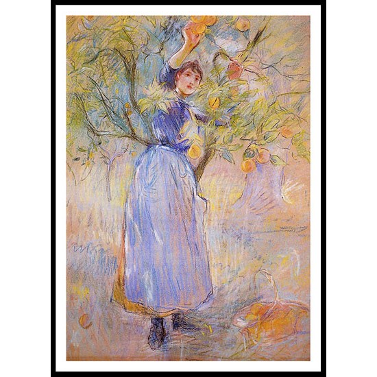 The Orange Picker, A New Print of a painting by Berthe Morisot