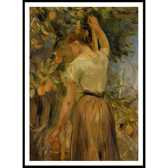 Young Woman Picking Oranges, A New Print of a painting by Berthe Morisot