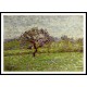 An Apple Tree at Eragny 1887, A New Print Of a Camille Pissaro Painting