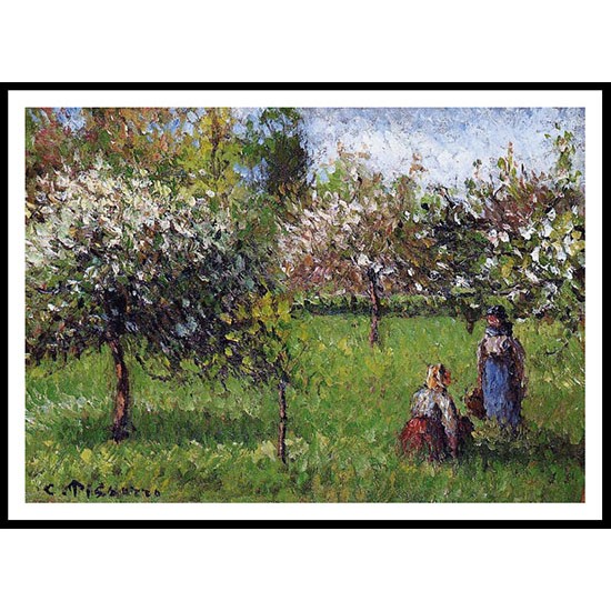 Apple Blossoms Eragny 1900, A New Print Of a Camille Pissaro Painting