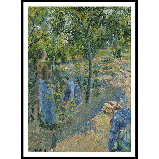 Apple Picking 1881, A New Print Of a Camille Pissaro Painting