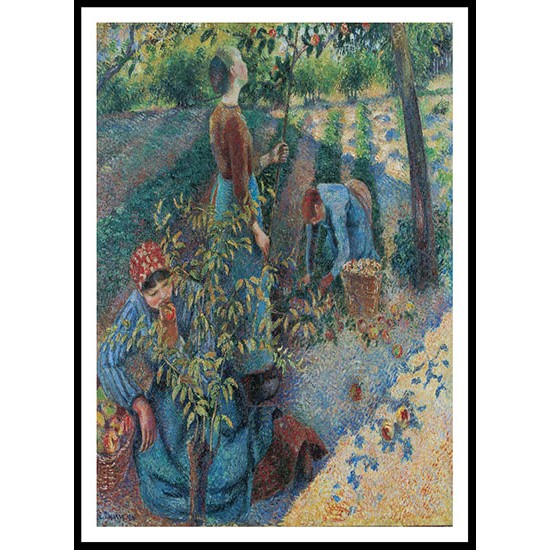 Apple Picking 1886, A New Print Of a Camille Pissaro Painting