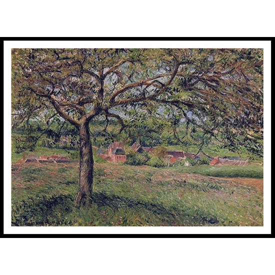 Apple Tree at Eragny 1884, A New Print Of a Camille Pissaro Painting