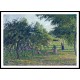 Apple Trees at Eragny 1895, A New Print Of a Camille Pissaro Painting