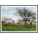 Apple Trees at Pontoise the House of Pere Galien 1885, A New Print Of a Camille Pissaro Painting