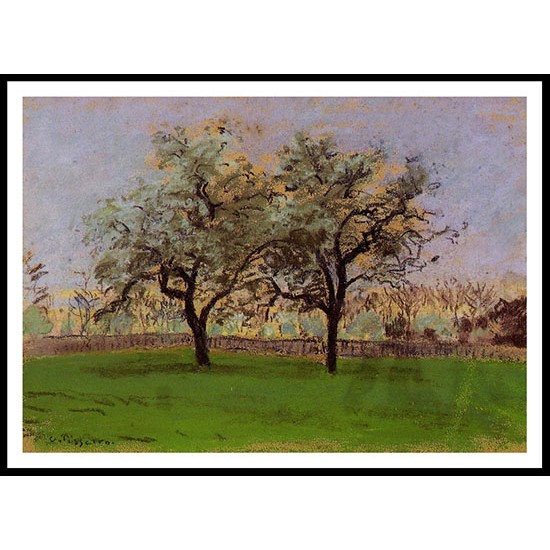 Apples Trees at Pontoise 1872, A New Print Of a Camille Pissaro Painting