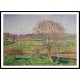 Big Nut Tree at Eragny 1892, A New Print Of a Camille Pissaro Painting