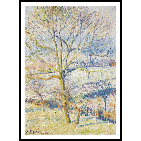 Big Nut Tree the Frost at Eragny 1892, A New Print Of a Camille Pissaro Painting