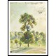 Eragny the Evening 1890, A New Print Of a Camille Pissaro Painting