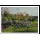 Flowering Apple Trees Eragny 1895, A New Print Of a Camille Pissaro Painting