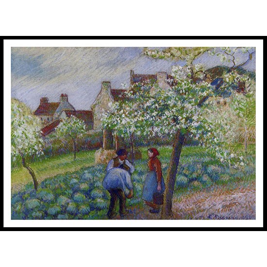 Flowering Plum Trees 1890, A New Print Of a Camille Pissaro Painting