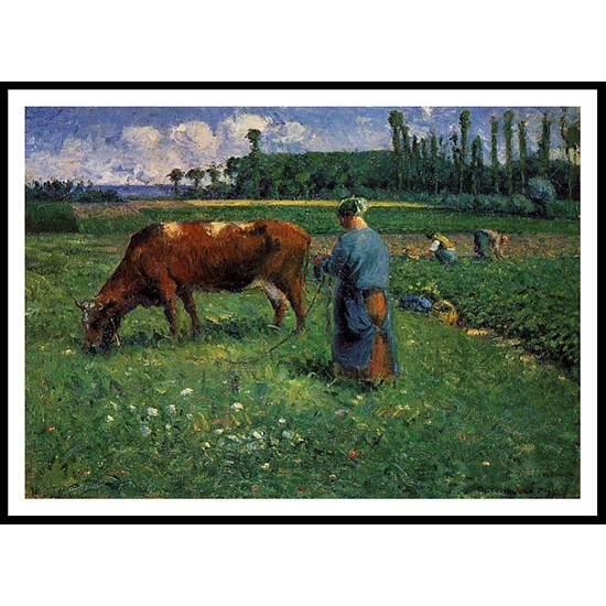 Girl Tending a Cow in a Pasture 1874, A New Print Of a Camille Pissaro Painting