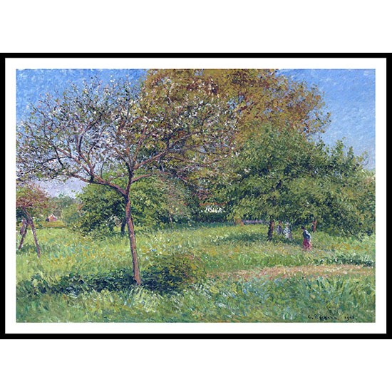 Great Nut Tree Morning Eragny 1901, A New Print Of a Camille Pissaro Painting