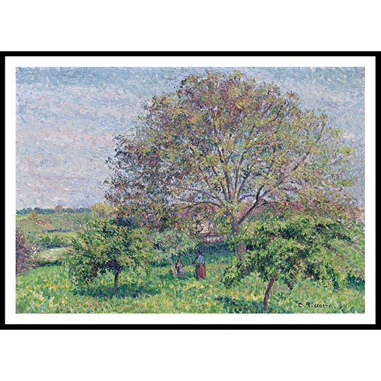 Great Nut Tree in Spring Eragny 1894, A New Print Of a Camille Pissaro Painting