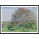 Great Nut Tree in Spring Eragny 1894, A New Print Of a Camille Pissaro Painting