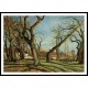 Groves of Chestnut Trees at Louveciennes 1872, A New Print Of a Camille Pissaro Painting