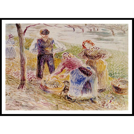 Harvesting Potatos 1884 85, A New Print Of a Camille Pissaro Painting