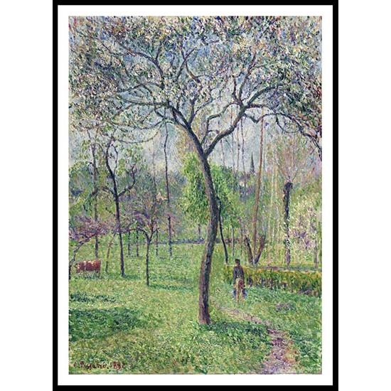 Landscape Orchard 1892, A New Print Of a Camille Pissaro Painting