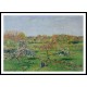 Morning Flowering Apple Trees Eragny 1898, A New Print Of a Camille Pissaro Painting