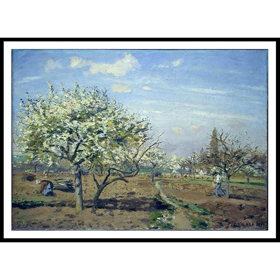 Orchard in Bloom Louviciennes 1892, A New Print Of a Camille Pissaro Painting