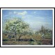 Orchard in Bloom Louviciennes 1892, A New Print Of a Camille Pissaro Painting