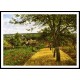 Orchards at Louveciennes1872, A New Print Of a Camille Pissaro Painting