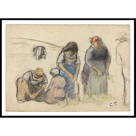 Pea Harvesters 1880, A New Print Of a Camille Pissaro Painting