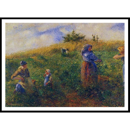 Picking Peas 1880, A New Print Of a Camille Pissaro Painting