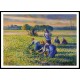 Picking Peas 1887, A New Print Of a Camille Pissaro Painting