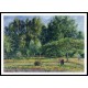 Poplars Afternoon in Eragny 1899, A New Print Of a Camille Pissaro Painting