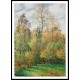 Poplars Autumn 1894, A New Print Of a Camille Pissaro Painting