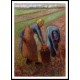 Potato Harvest 1885, A New Print Of a Camille Pissaro Painting