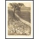 Road by a Field of Cabbages 1880, A New Print Of a Camille Pissaro Painting