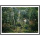 The Backwoods of LHermitage Pontoise 1879, A New Print Of a Camille Pissaro Painting