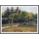 The Garden at Eragny 1895, A New Print Of a Camille Pissaro Painting