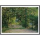 The Garden in Spring Eragny 1894, A New Print Of a Camille Pissaro Painting