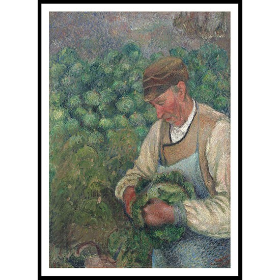 The Gardener Old Peasant with Cabbage 1883 89, A New Print Of a Camille Pissaro Painting