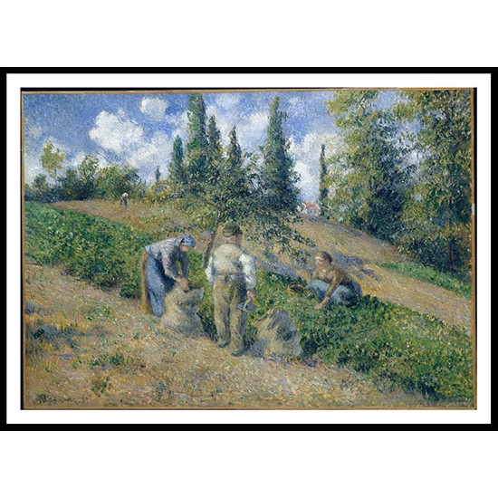 The Harvest Pontoise 1881, A New Print Of a Camille Pissaro Painting