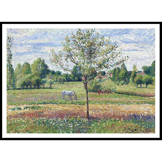 The Meadow with a Horse Cloudly Weather Eragny 1893, A New Print Of a Camille Pissaro Painting