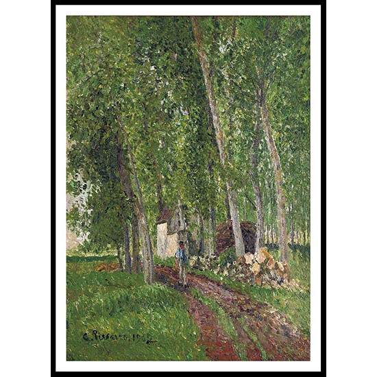 The Thicket at Moret 1902, A New Print Of a Camille Pissaro Painting