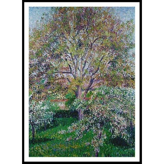 Wallnut and Apple Trees in Boom at Eragny 1895, A New Print Of a Camille Pissaro Painting