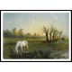 White Horse at the Meadow 1856, A New Print Of a Camille Pissaro Painting