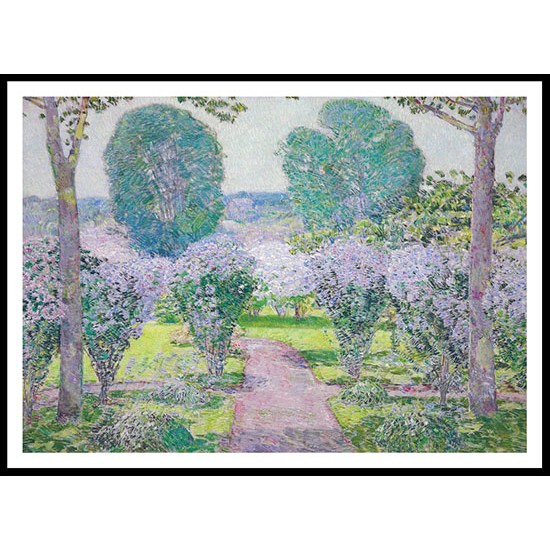 Altheas 1920, A New Print Of a Frederick Childe Hassam Painting