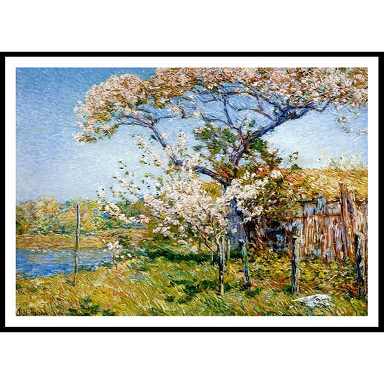 Apple Trees in Bloom Old Lyme 1904, A New Print Of a Frederick Childe Hassam Painting