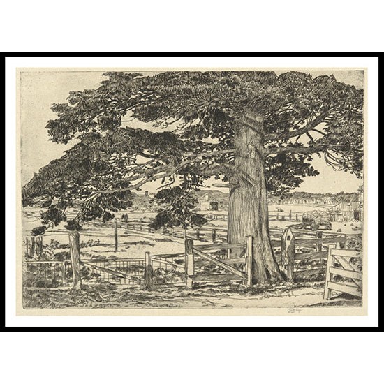 Big Cedar Wainscott L. I. 1929, A New Print Of a Frederick Childe Hassam Painting